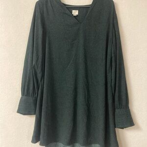 A NEW DAY Green Black Snake Print Long Sleeve Dress Women’s Size XS Mini